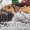 Aniforte Fiori di Bach n. 31 Vervain - 15 grammi Anteprima dell’immagine prodotto 9