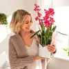 LECHUZA Planter ORCHID ALL-IN-ONE Matt white Anteprima dell’immagine prodotto 13
