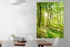 MuchoWow® Poster Natur - Bäume - Wald - Grün - Sonnenlicht Produktbild-Vorschau 2