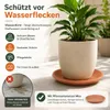 Pflanztopfuntersetzer Mira Terrakotta Ø 58cm - Rund Produktbild-Vorschau 5