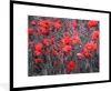 MuchoWow® Gerahmtes Poster Rote Mohnblumen in einem Produktbild-Vorschau 1