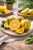 Oranger panaché 70–100 cm – Citrus sinensis Variegata Voir les images du produit 3