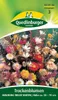 Trockenblumen, Mischung vieler Sorten Produktbild-Vorschau 5