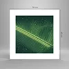 Poster - Poster ohne Rahmen - Makro Blatt Tropfen - 30x30 Produktbild-Vorschau 4