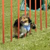 XINZI Agility Set Hunde Agility Ausrüstungs Set für Hunde Produktbild-Vorschau 12