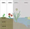 3er Set - Iris Kaempferi - Japanische Sumpf-Schwertlilie - Produktbild-Vorschau 5