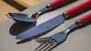 Set di posate Villeroy & Boch Play! - Rose rosse - 24 pezzi Anteprima dell’immagine prodotto 3