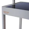 SIENA GARDEN Garten- & Wohnleuchte WEGA M matt seidengrau Produktbild-Vorschau 2