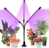 TolleTour Pflanzenlampe Led Vollspektrum 30W 60leds Produktbild-Vorschau 1