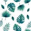 Coloray Fototapete 208x146 cm Vlies-Fototapete - Monstera Produktbild-Vorschau 2