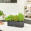Lechuza Samozavlažovací květináč Cube Color Triple, béžová Náhled obrázku produktu 17