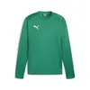 Puma Teamgoal Trainingssweat Herren - Grün Produktbild-Vorschau 1