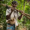 Ceylon Zimt, gemahlen, BIO, 250g Produktbild-Vorschau 2