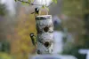 Dobar Meisenknödelhalter aus naturbelassener Birke Produktbild-Vorschau 2