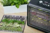 SENCOR SFD 6600BK Veľkokapacitná sušička s celkovou Náhľad obrázku produktu 14