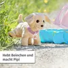 BABY born Môj šťastný pes s prepravným boxom Náhľad obrázku produktu 31