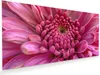 Glasbild 110x55cm in XXL für Wohnzimmer, Schlafzimmer Motiv Produktbild-Vorschau 1