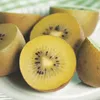 Green boutiQ - Obst Pflanze - Actinidia deliciosa Golden Produktbild-Vorschau 4