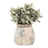 Clayre & Eef Blumentopf 14x14x13 cm Beige Grün Terrakotta Produktbild-Vorschau 2