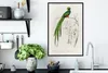 MuchoWow® MuchoWow® Gerahmtes Poster Vogel - Vintage - Produktbild-Vorschau 3