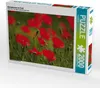 CALVENDO Puzzle Mohnblumen im Feld | 2000 Teile Lege-Größe Produktbild-Vorschau 1