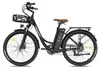 Bicicletta Elettrica FAFREES F26 Lasting - Motore 250W Anteprima dell’immagine prodotto 3