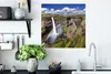 MuchoWow® Poster Regenbogen im Jasper National Park in Produktbild-Vorschau 3