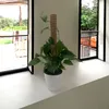 Supporto per arrampicata in cocco - 4 pezzi / 60 cm - Anteprima dell’immagine prodotto 4