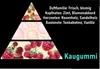 GKA Parfümöl Kaugummi aus Frankreich Parfüm Kosmetik Produktbild-Vorschau 2