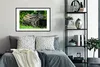 MuchoWow® MuchoWow® Gerahmtes Poster Junger Tapir im Produktbild-Vorschau 2