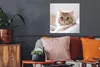 MuchoWow® Poster Katze - Rot - Bett - Mädchen - Kinder - Produktbild-Vorschau 2