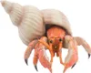 Papo Hermit crab, Mehrfarbig, 1 Stück(e) Produktbild-Vorschau 2