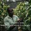 Vaniglia – baccello di vaniglia / baccelli di vaniglia 20 Anteprima dell’immagine prodotto 8