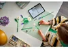LEGO Botanicals Margarétky, Stavebnica, 9 rok / roky, Náhľad obrázku produktu 20