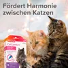 Beaphar CatComfort® Wohlfühl Spot-On 3 x 0,55 ml Produktbild-Vorschau 2