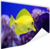 MuchoWow® Poster Fisch - Koralle - Gelb 180x120 cm - Produktbild-Vorschau 1