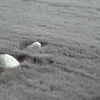 A close-up view of a fluffy gray rug with two white objects partially submerged in it. Produktbild-Vorschau