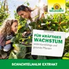 Neudorff Schachtelhalm Extrakt 265 Produktbild-Vorschau 13