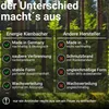 A comparison chart showing features of 'Energie Kienbacher' versus 'Other Manufacturers' against a forest background. Produktbild-Vorschau