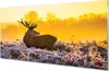 Glasbilder 100x50 Wandkunst Deer Winter Sonnenaufgang Produktbild-Vorschau 1