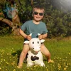 Skoczek dla dzieci do skakania na roczek byczek z pompką Podgląd zdjęcia produktu 10