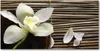 Tulup® Leinwandbild - 140x70 cm - Wandkunst - Drucke auf Produktbild-Vorschau 1