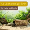 Aquarium Deko Höhle Birkenrinde XL Terrarium Deko fürs Produktbild-Vorschau 6