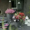 Lechuza Samozavlažovací závěsný květináč Nido Cottage 28 Náhled obrázku produktu 20