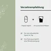 Fermentura Ginkgo Duo Plus - Ginkgo Biloba Kapseln mit Produktbild-Vorschau 9