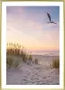 A sandy path leads through dunes with tall grass towards a calm ocean at sunset, with a seagull flying overhead. Produktbild-Vorschau