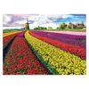 Eurographics Puzzle Tulpenfelder Niederlande, 1000 Teile, Anteprima dell’immagine prodotto 2