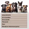 123... Hund dabei! - Kaurollen XXL 50er Tray Pferd - Produktbild-Vorschau 6