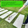 Szorowarka do podłóg ze stali nierdzewnej Szczotka do Podgląd zdjęcia produktu 7