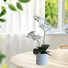 Dekorativní hedvábné orchideje bonsai, umělé květiny s Náhled obrázku produktu 3